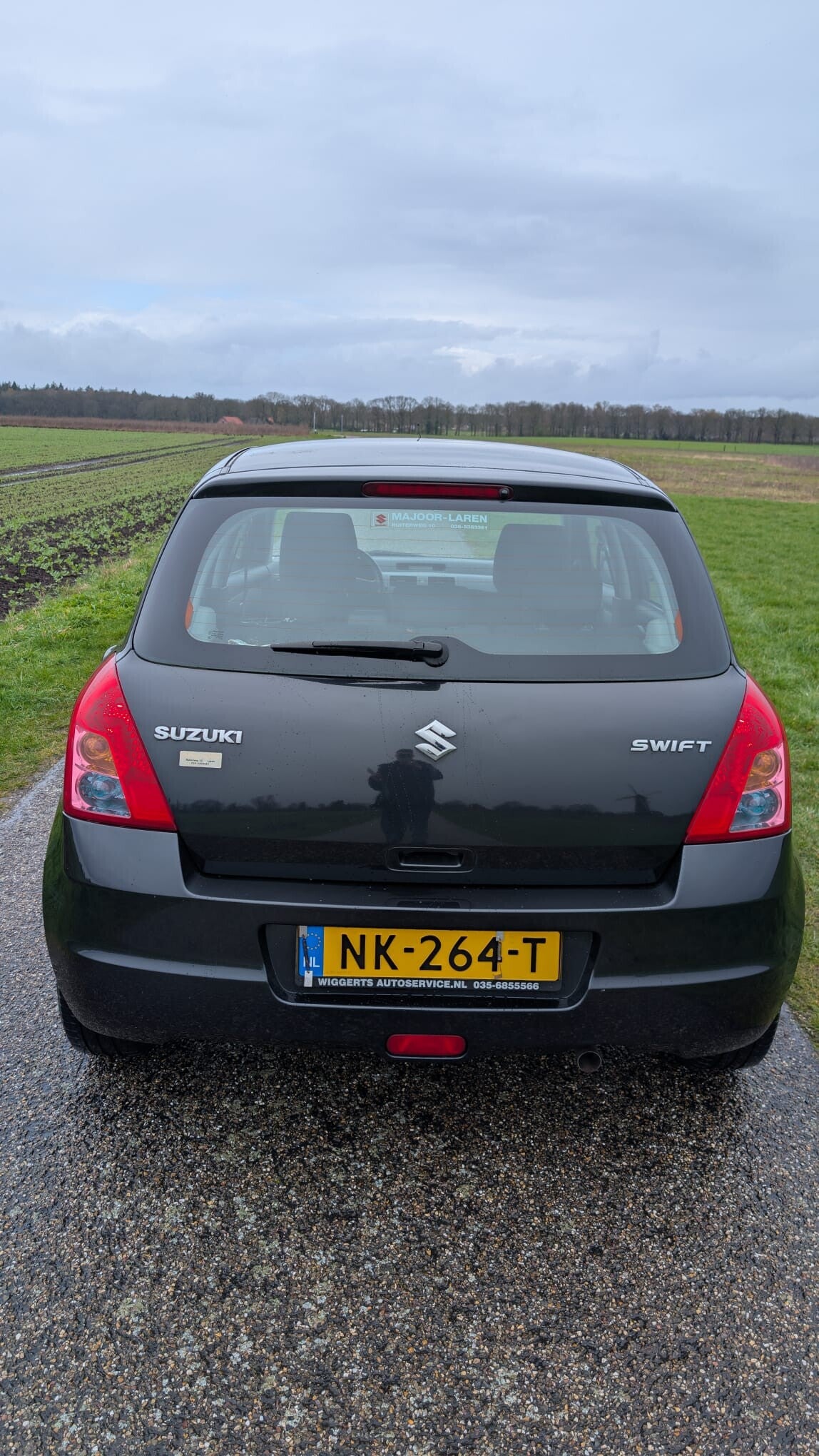 suzuki CRS