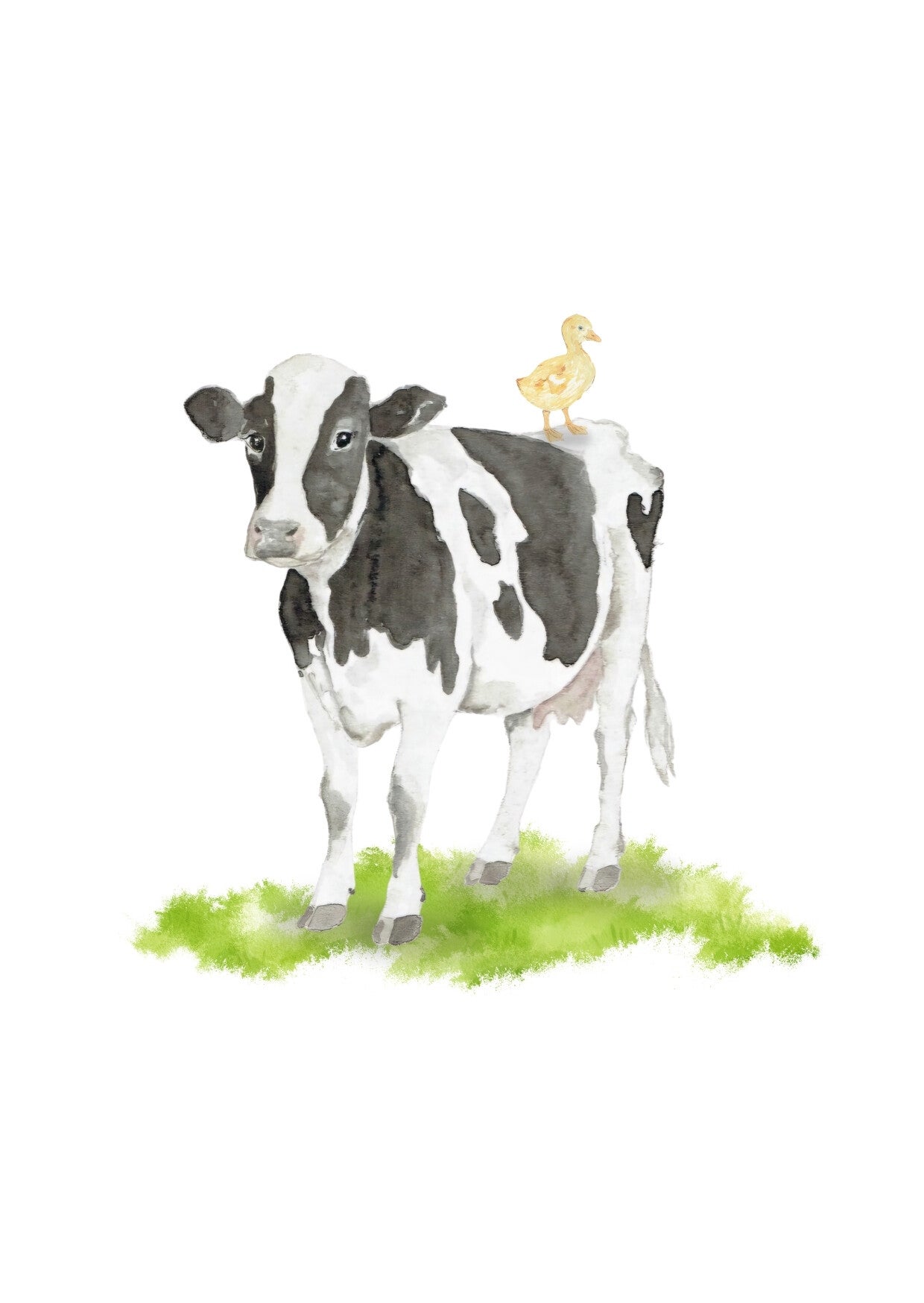 Boerderij Koe - kaart