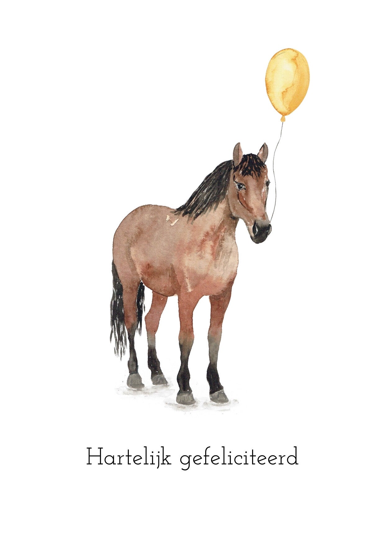 Boerderij Paard - kaart