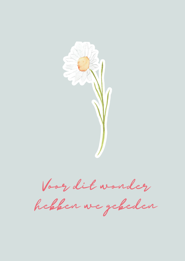 Wonderlijk - kaart