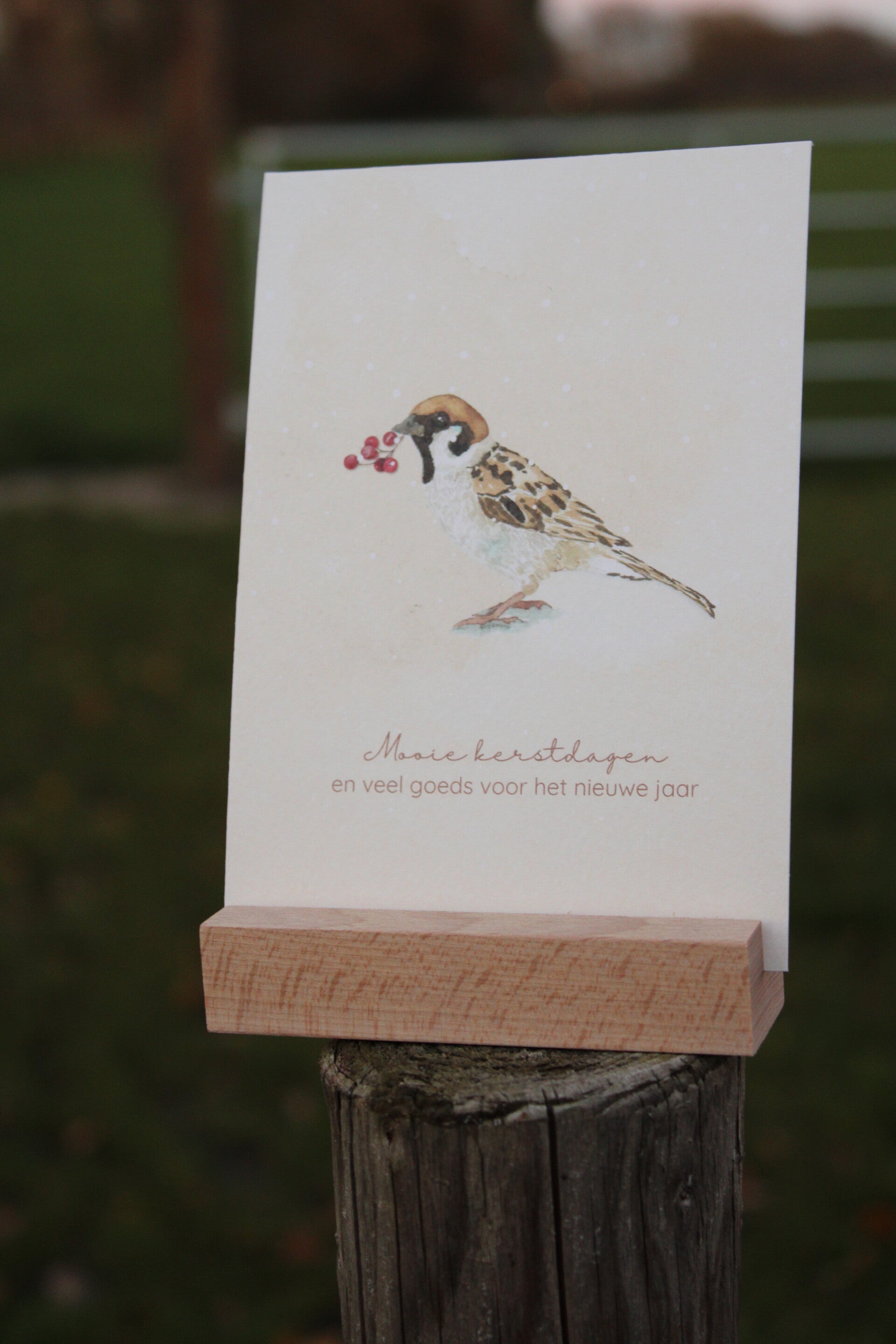 Kerstkaart 2025 - 10