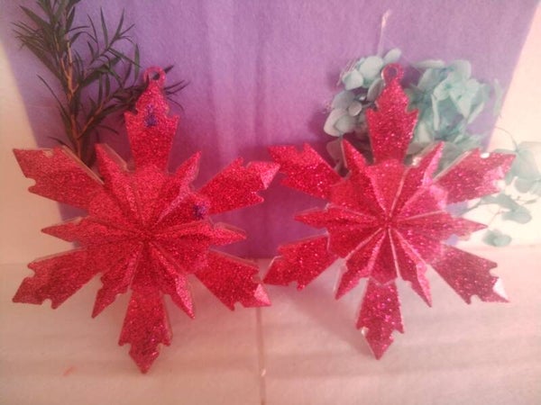 etoile noel