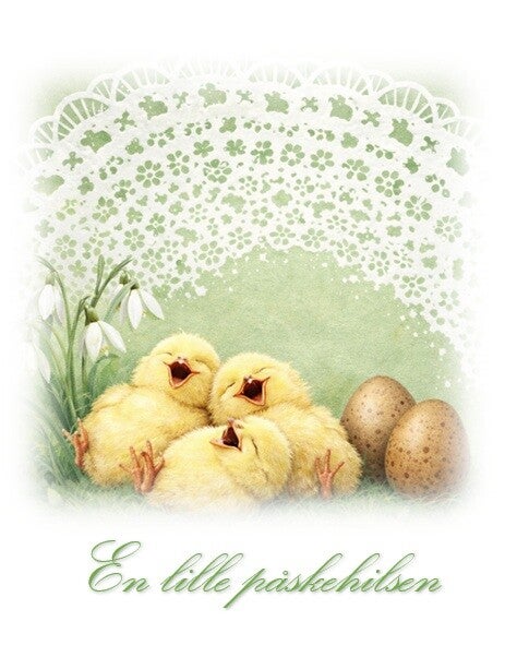 dobbelt sidet kort påske kylling