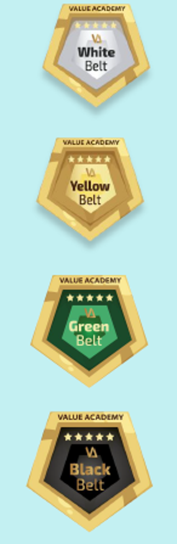 CERTIFICACIÓN MÁSTER LEAN SIX SIGMA (White Belt + Yellow Belt + Green Belt + Black Belt)