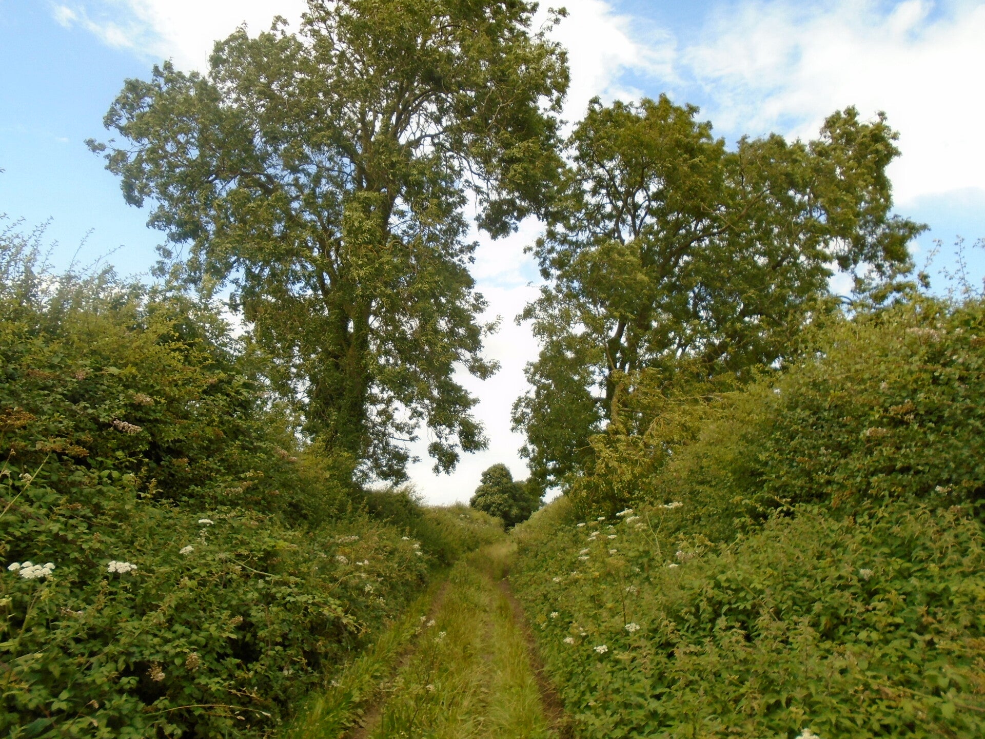 Walking the ancient Peddars Way, a historic Roman road through the heart of the English countryside.