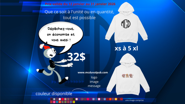 Chandail coton ouaté à capuche (hoodies)