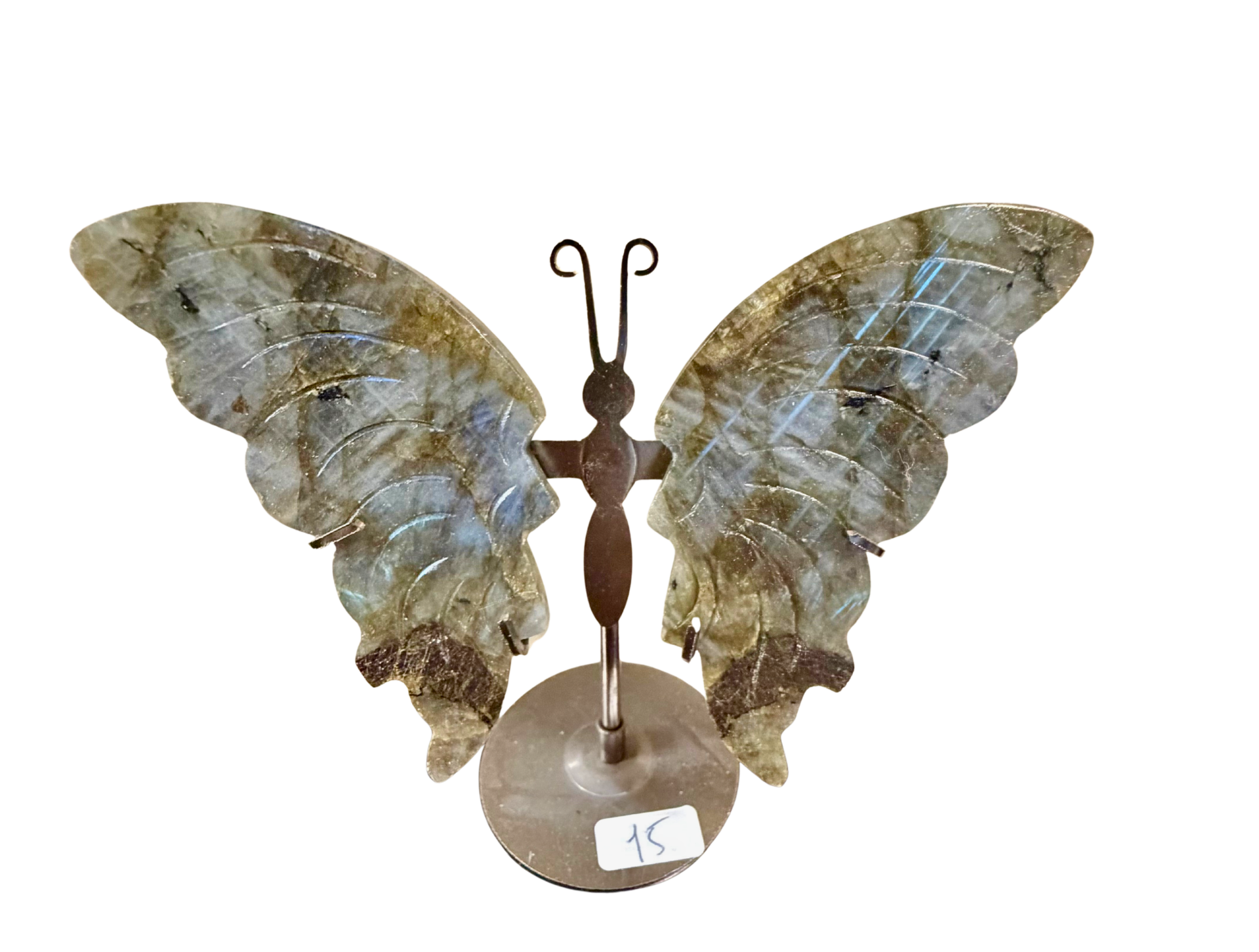 Divers Papillon Labradorite