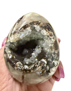 Oeuf Septaria 521 gramme