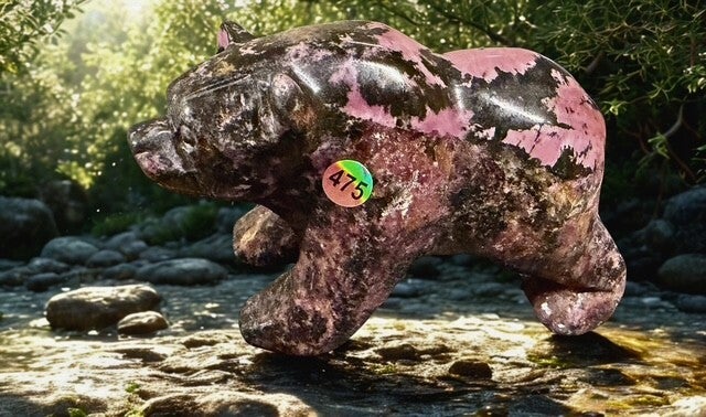 Ours en Rhodonite 585 grammes