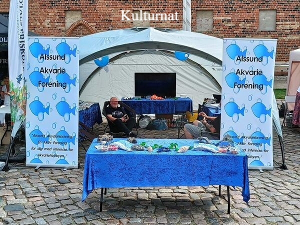 Kulturnat