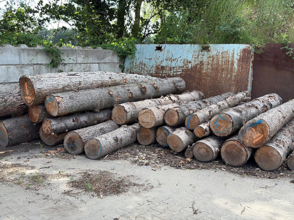 Stapel VSN004 - naaldhout mix - machinehout