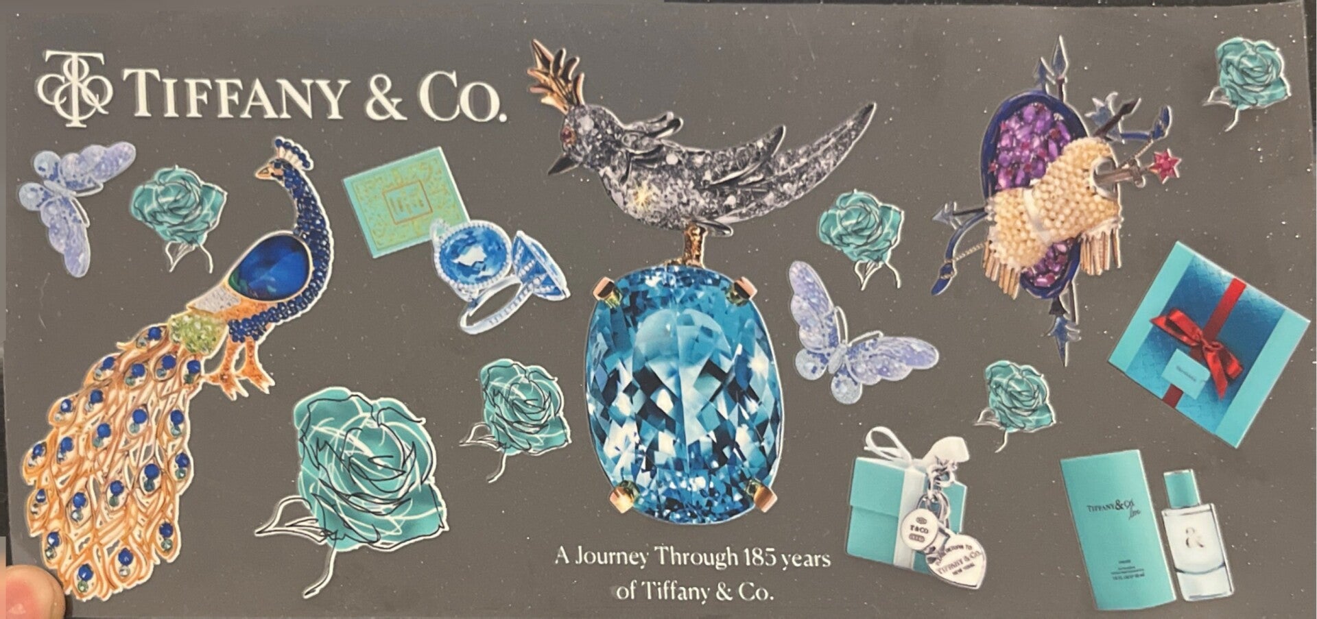 Luxury Style Pattern Fan Inspired 16oz Cup Wrap