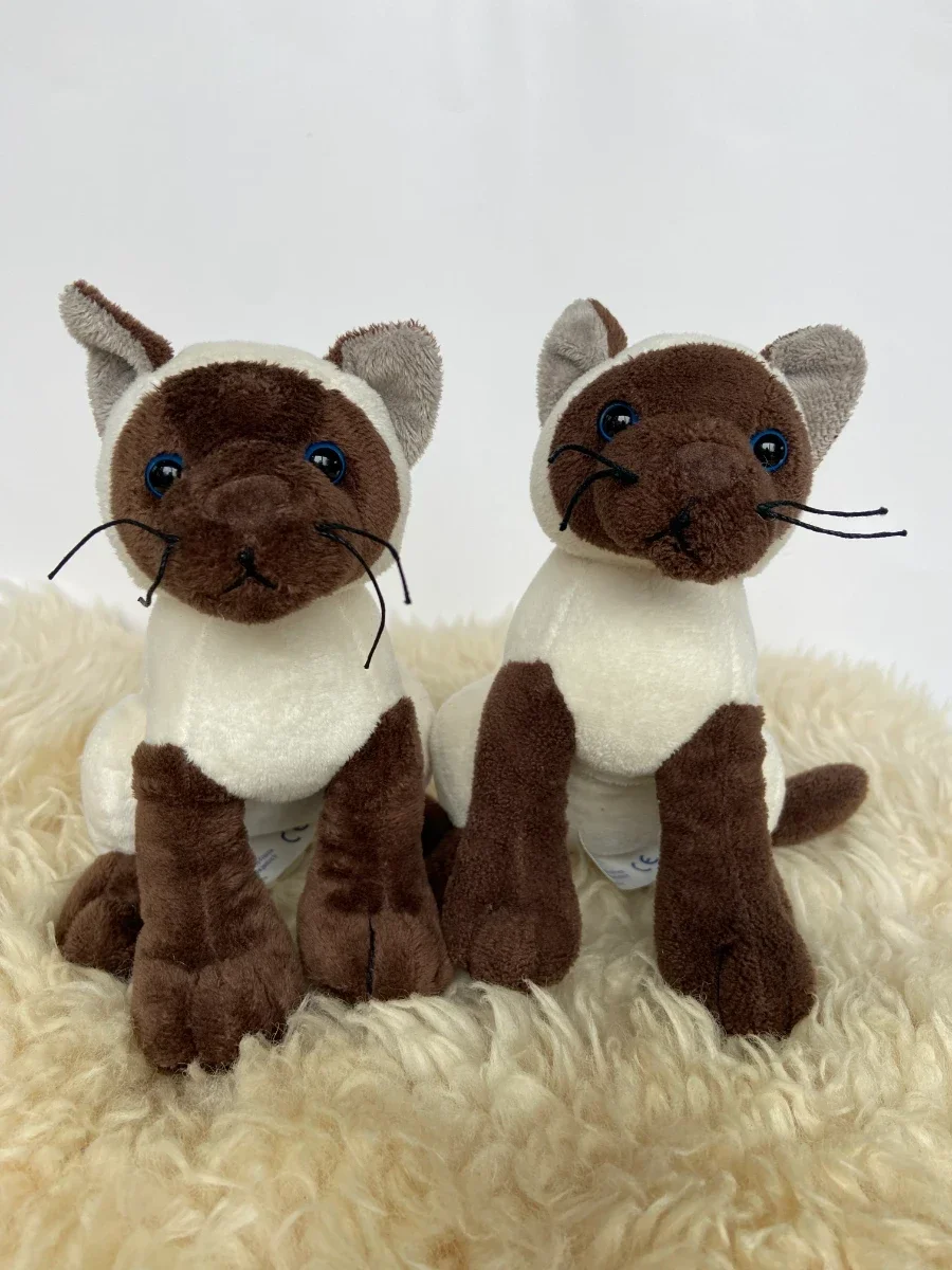 Knuffel Siamese katjes