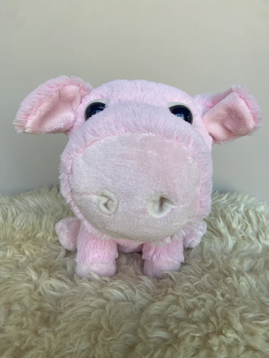 Knuffel Varken Knor