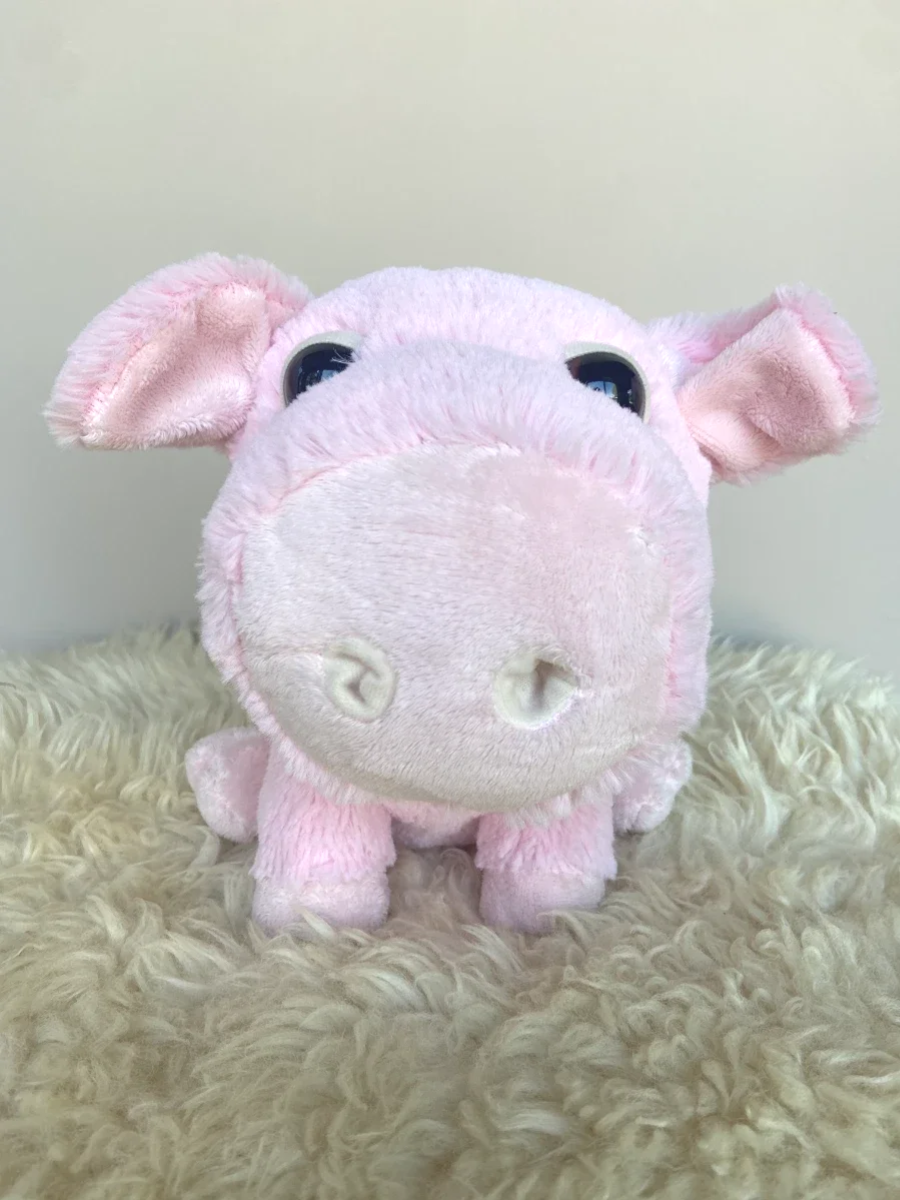 Knuffel Varken Knor