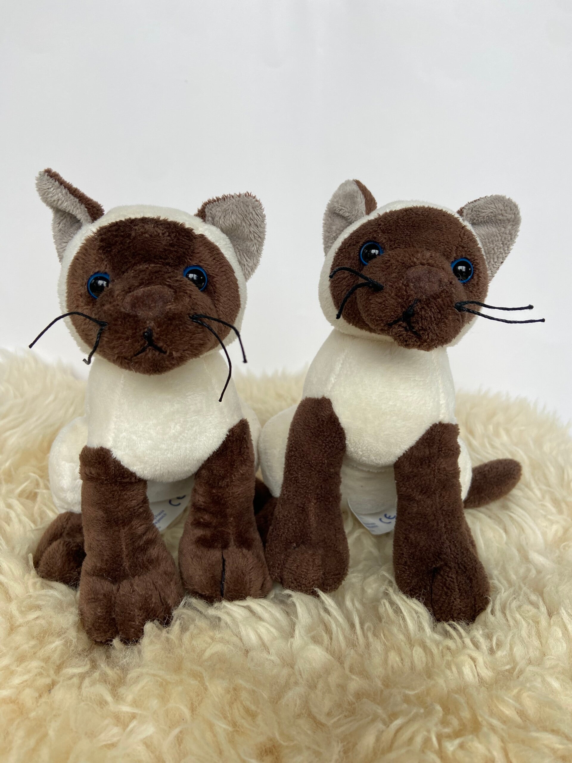 Knuffel Siamese katjes