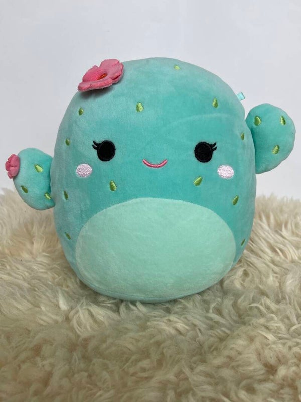 Knuffel Cactus