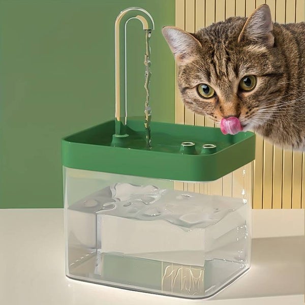 Fontaine à eau pour chat
