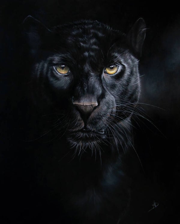 Shadow