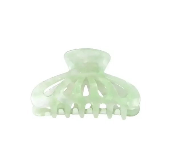 Haarklem schelp groen
