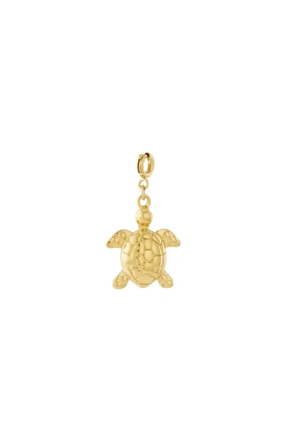 Bedel Schildpad