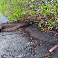 img-20240422-wa0015-standard.jpg