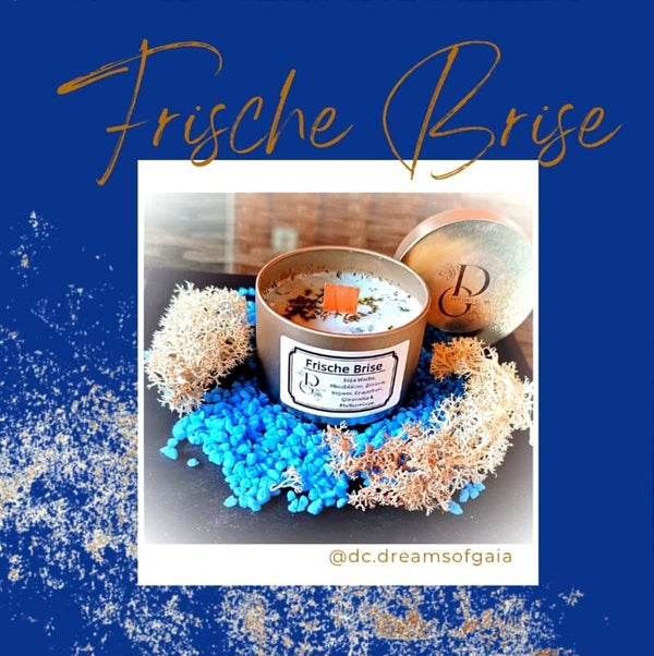 Frische Brise