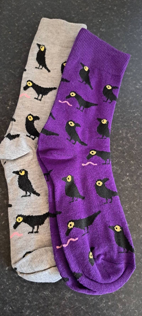 Crow socks pack of two pairs (One size)