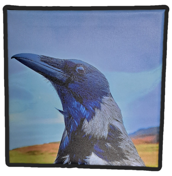 Gilbert Hooded Crow 20x20cm Canvas