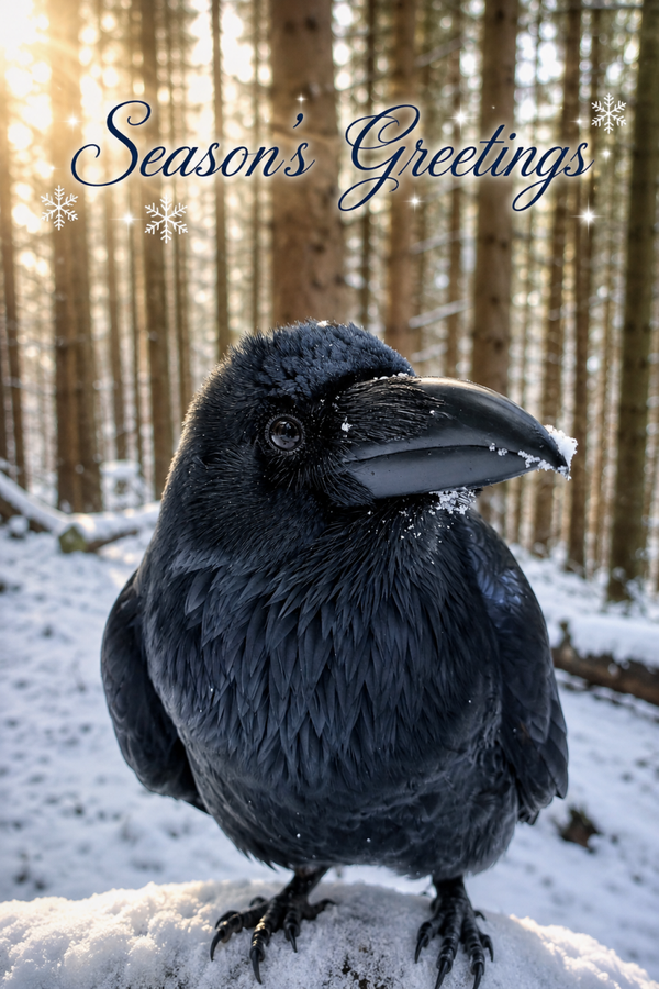 Ragnar and Friends Christmas Cards