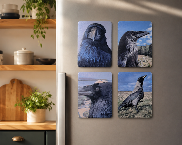Fridge Magnets 7.5 x 10cm set of 4