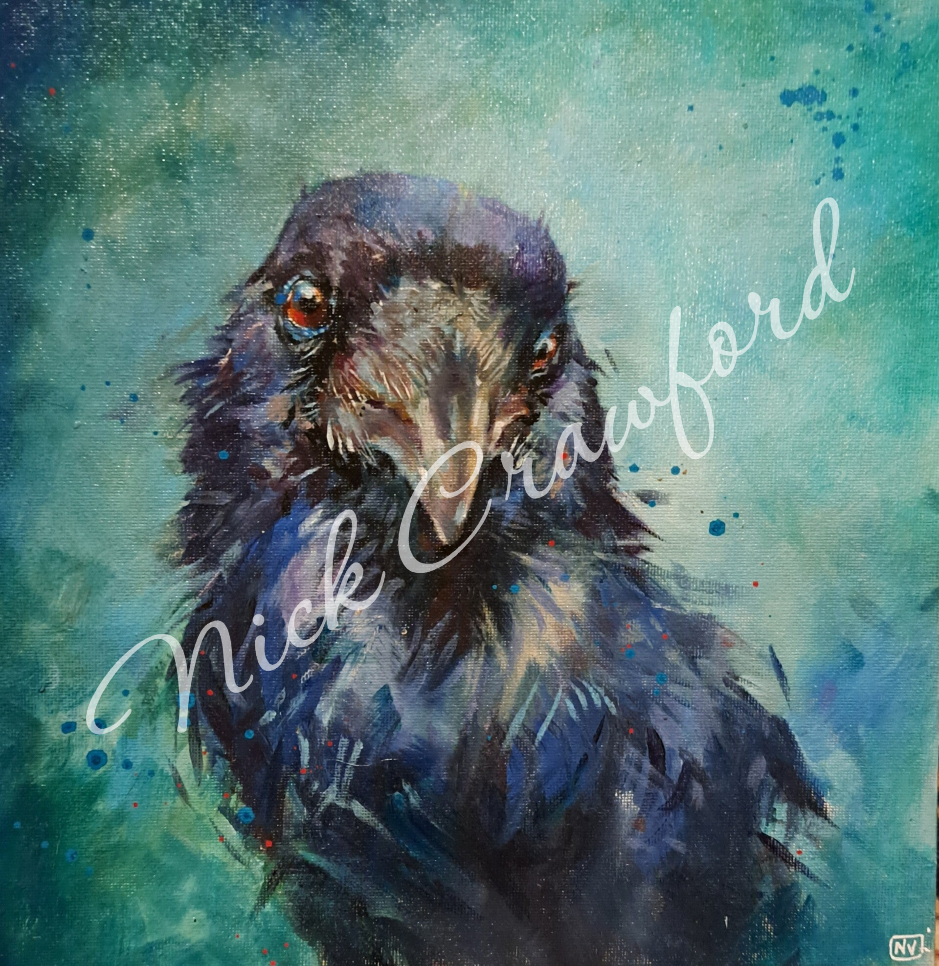 "Ragnar Raven" 30cm x 30cm canvas print