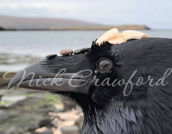 Frith Coral Beach mug (full coverage)