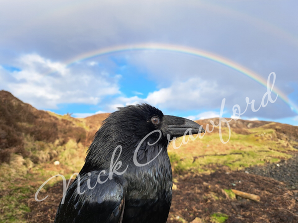 "Ragnar's Rainbow" 20x20cm canvas print