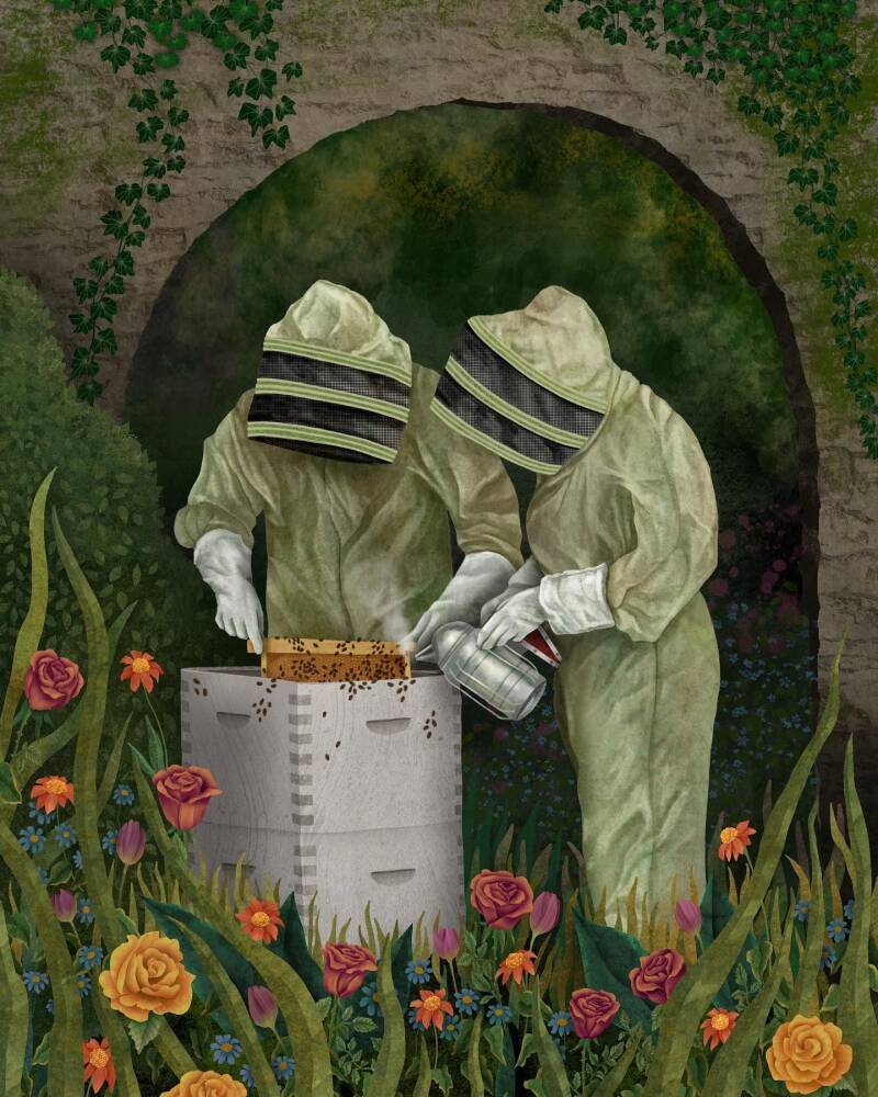 the beekeepers, Rosie Dore