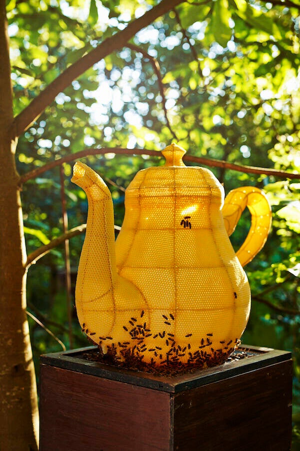 Tomas Libertiny, reuze theepot in bijenwas