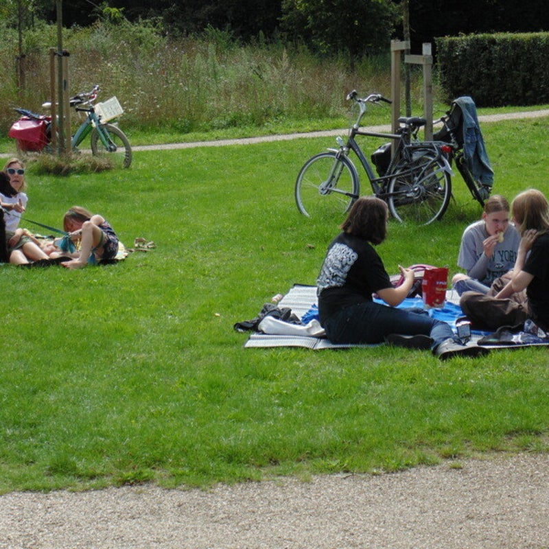 dsc00817jpg.jpg