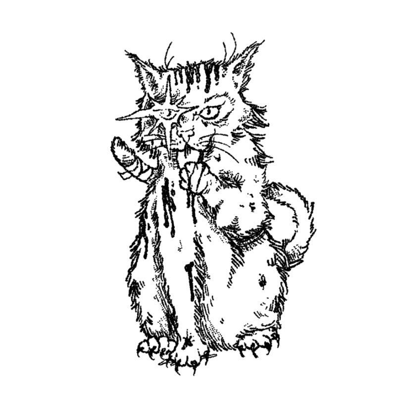 rage kitten