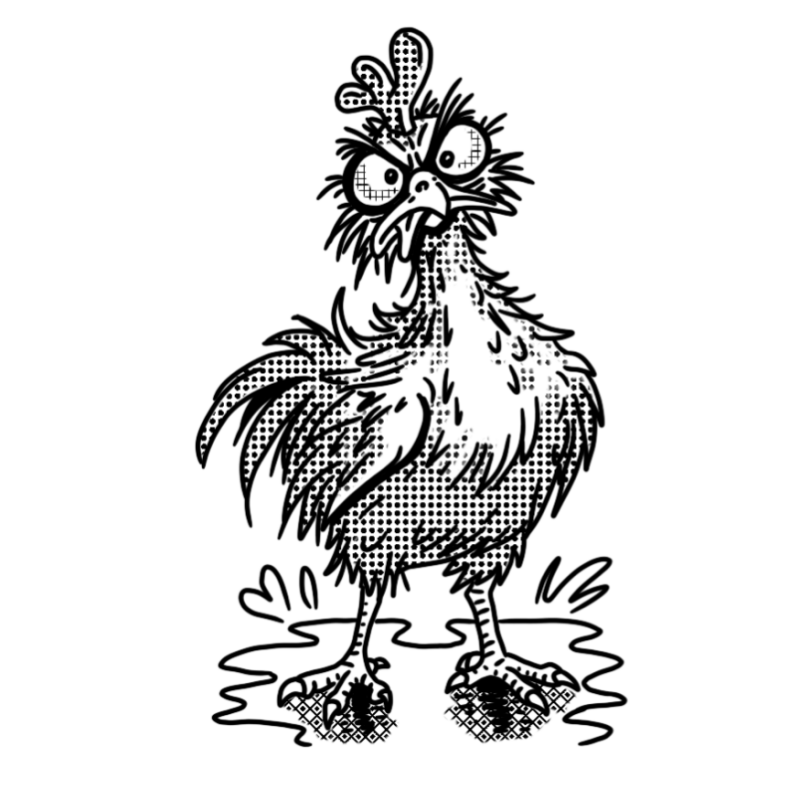 angry chicken