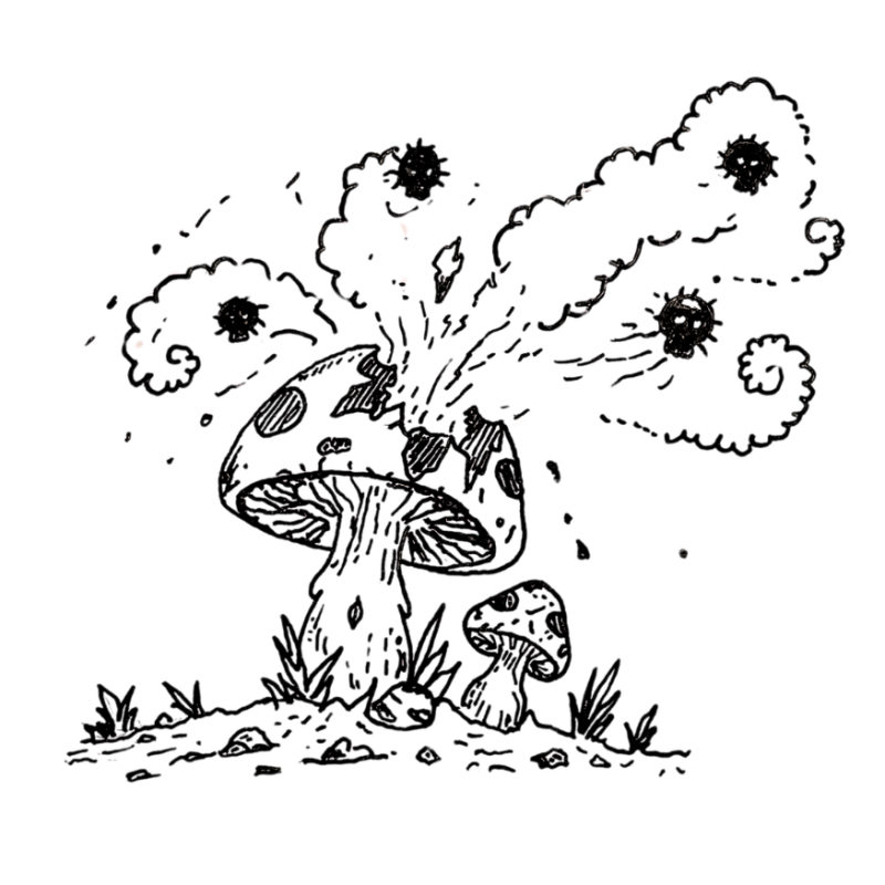 exploding fungus