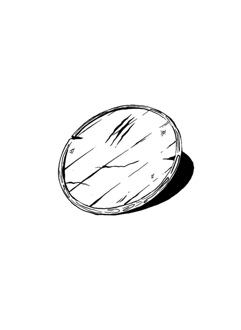 wooden shield