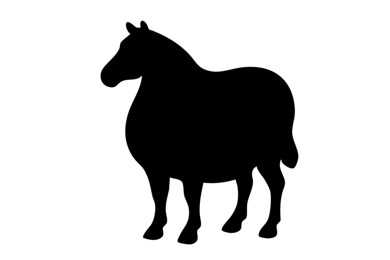 Raena @fathorsestudios