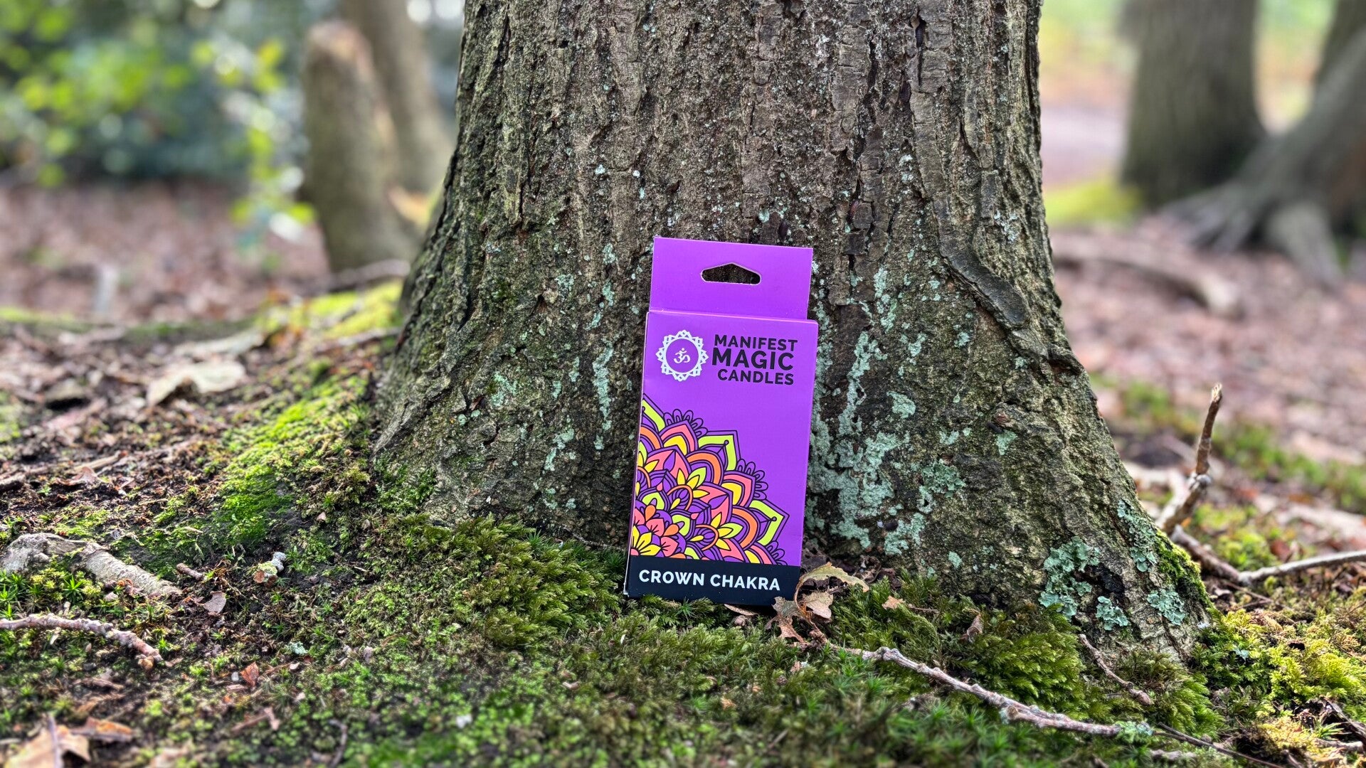 Manifest Magische Kaarsen (pak van 12) - Paars - Kruinchakra