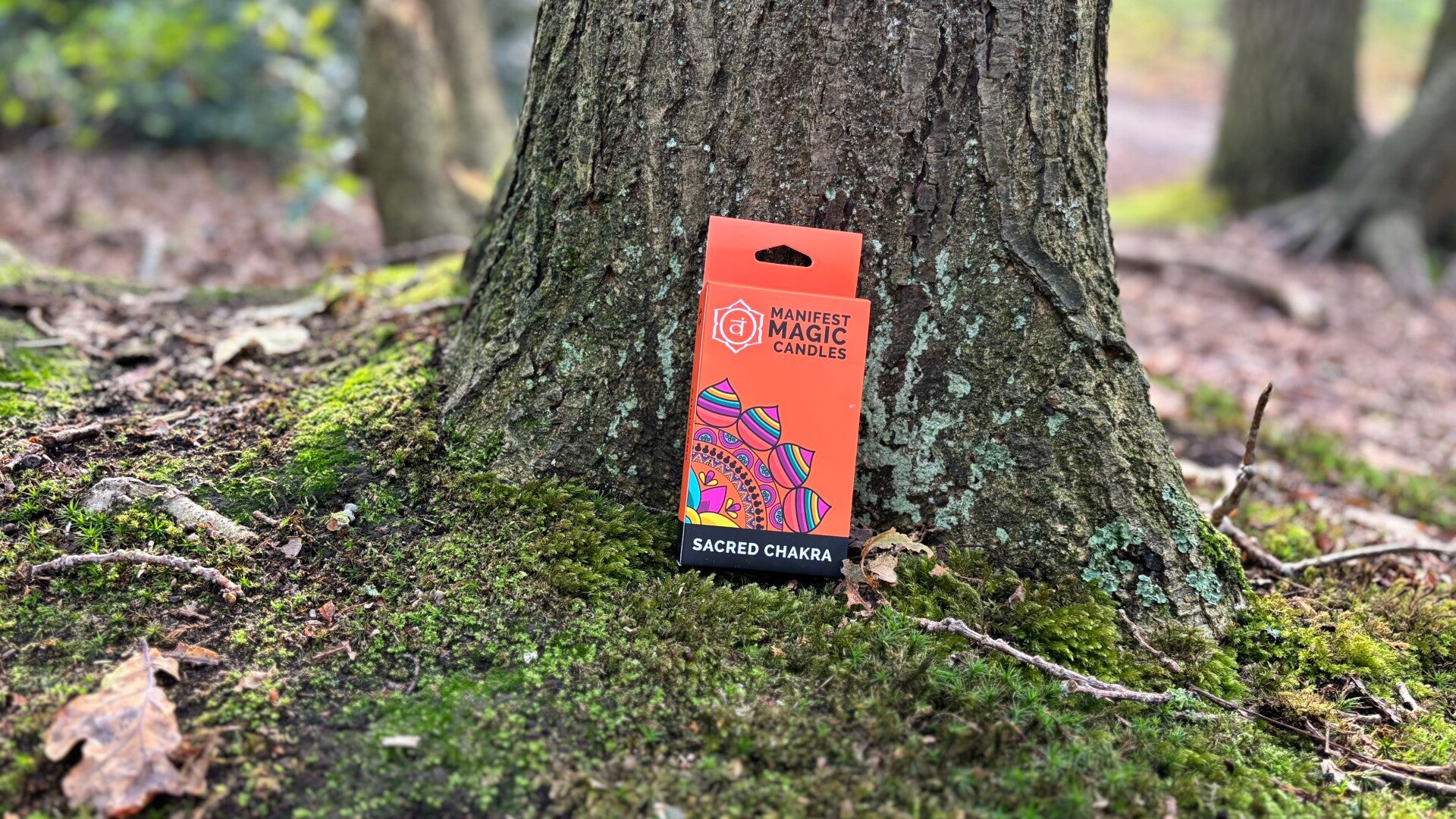 Manifest Magische Kaarsen (pak van 12) - Oranje – Sacraalchakra