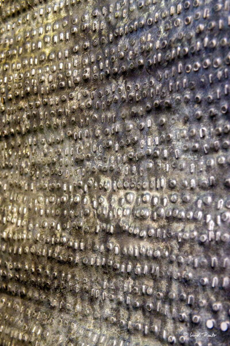 crédit photo Lionel Rault