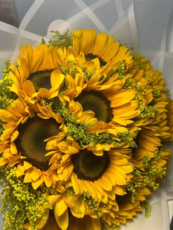 Pucha de Girasoles