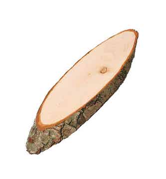 Houten schijf ovaal 22x10 cm
