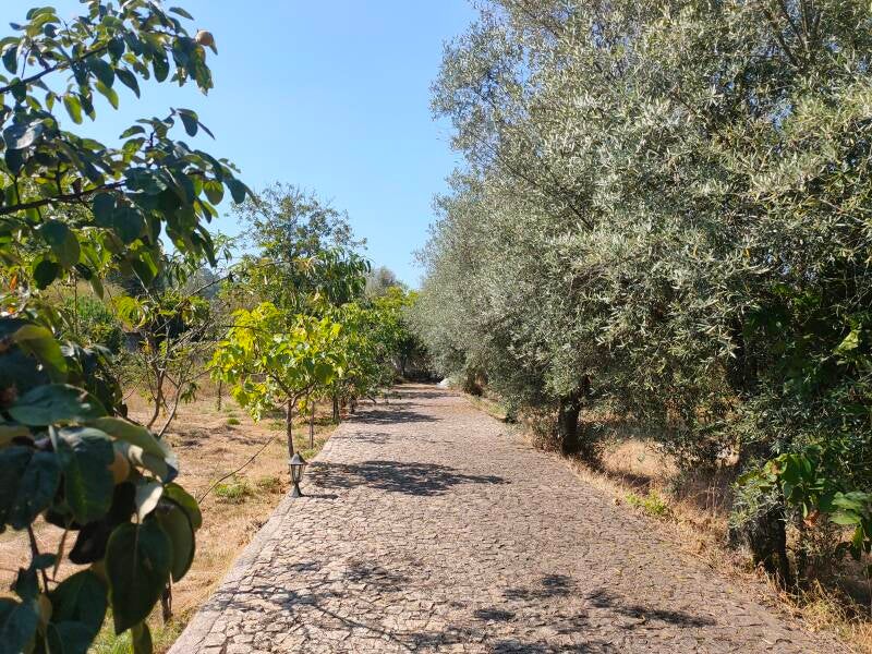 Pad richting gasthuis