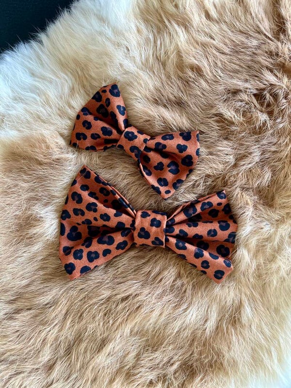 LEOPARD - HANDSOME MEN