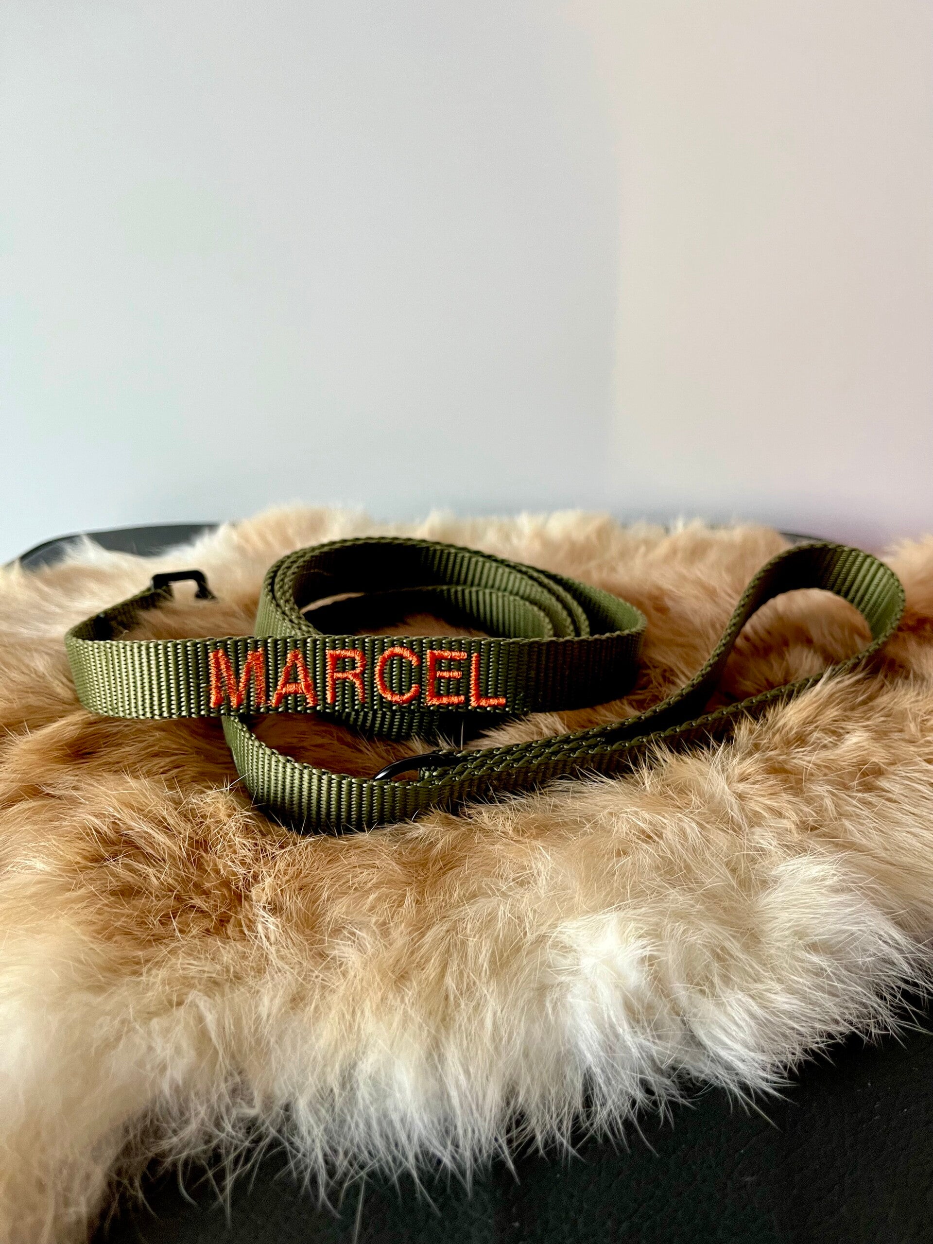 WEBBING - NAME - LEASH